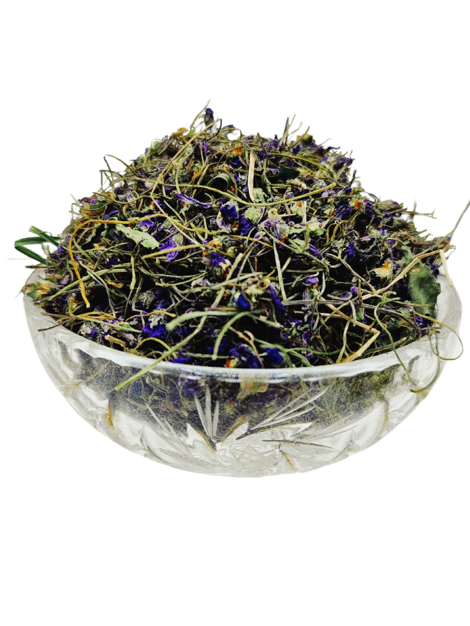 violet flower گل بنفشه
